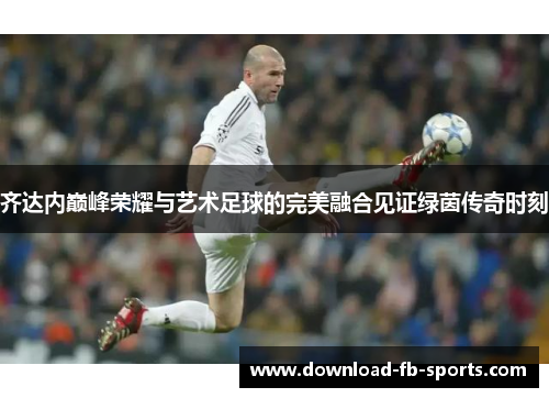 齐达内巅峰荣耀与艺术足球的完美融合见证绿茵传奇时刻