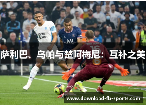 萨利巴、乌帕与楚阿梅尼：互补之美